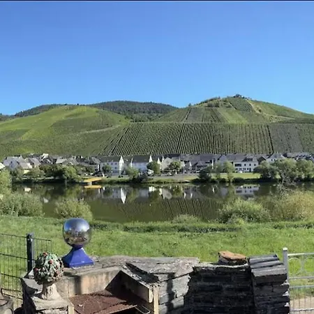 Besondere Moselhaus-mosel Ultranah Luxus Mosel 別荘 *