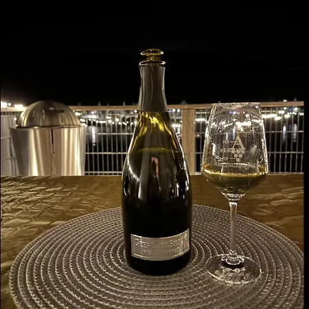 Besondere Moselhaus-mosel Ultranah Luxus Mosel 別荘 Kinheim