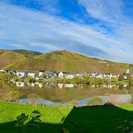 Besondere Moselhaus-mosel Ultranah Luxus Mosel * Kinheim