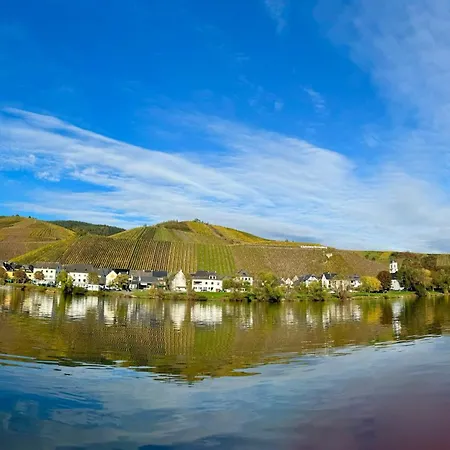 Besondere Moselhaus-mosel Ultranah Luxus Mosel 別荘 *
