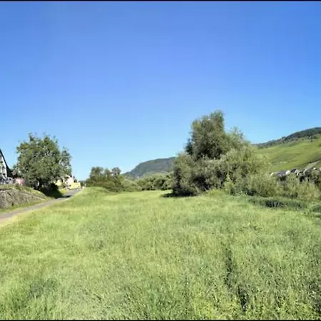 Besondere Moselhaus-mosel Ultranah Luxus Mosel * Kinheim